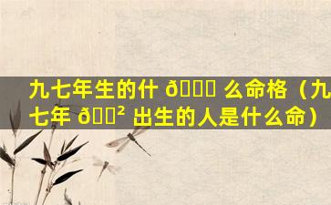 九七年生的什 🐕 么命格（九七年 🌲 出生的人是什么命）